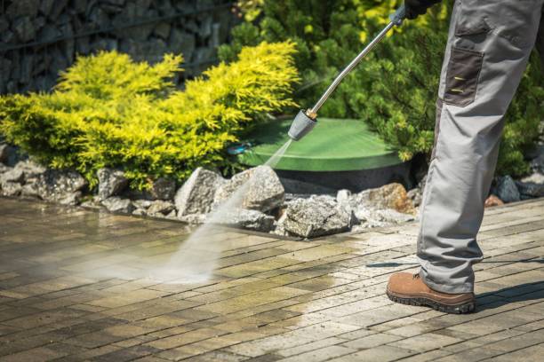 Best Roof Washing  in Batesville, IN